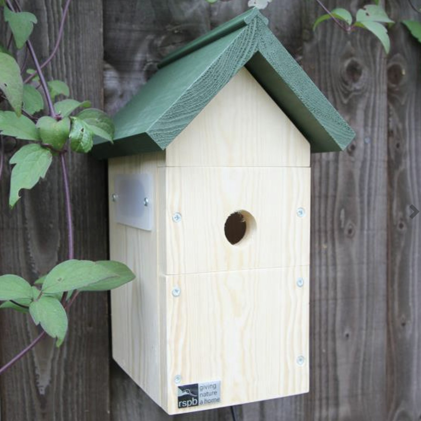 Rspb bird cheap box camera